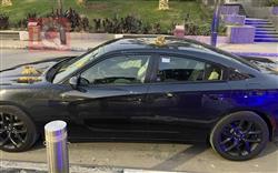 دودج تشارجر